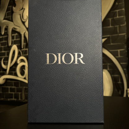 Dior B23 Low Grey