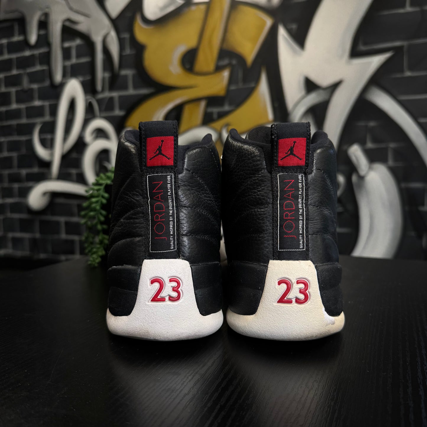 Jordan 12 Playoffs (2012)