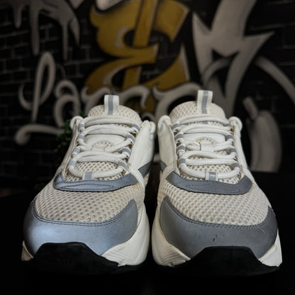 Dior B22 White/Silver