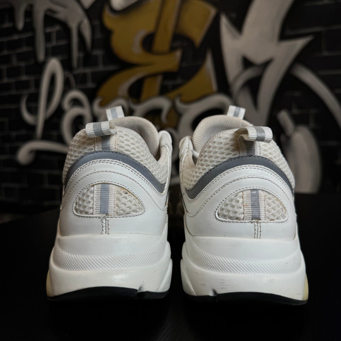 Dior B22 White/Silver