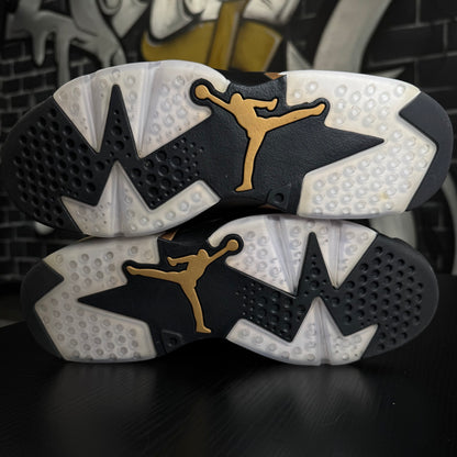 Jordan 6 DMP (2020)