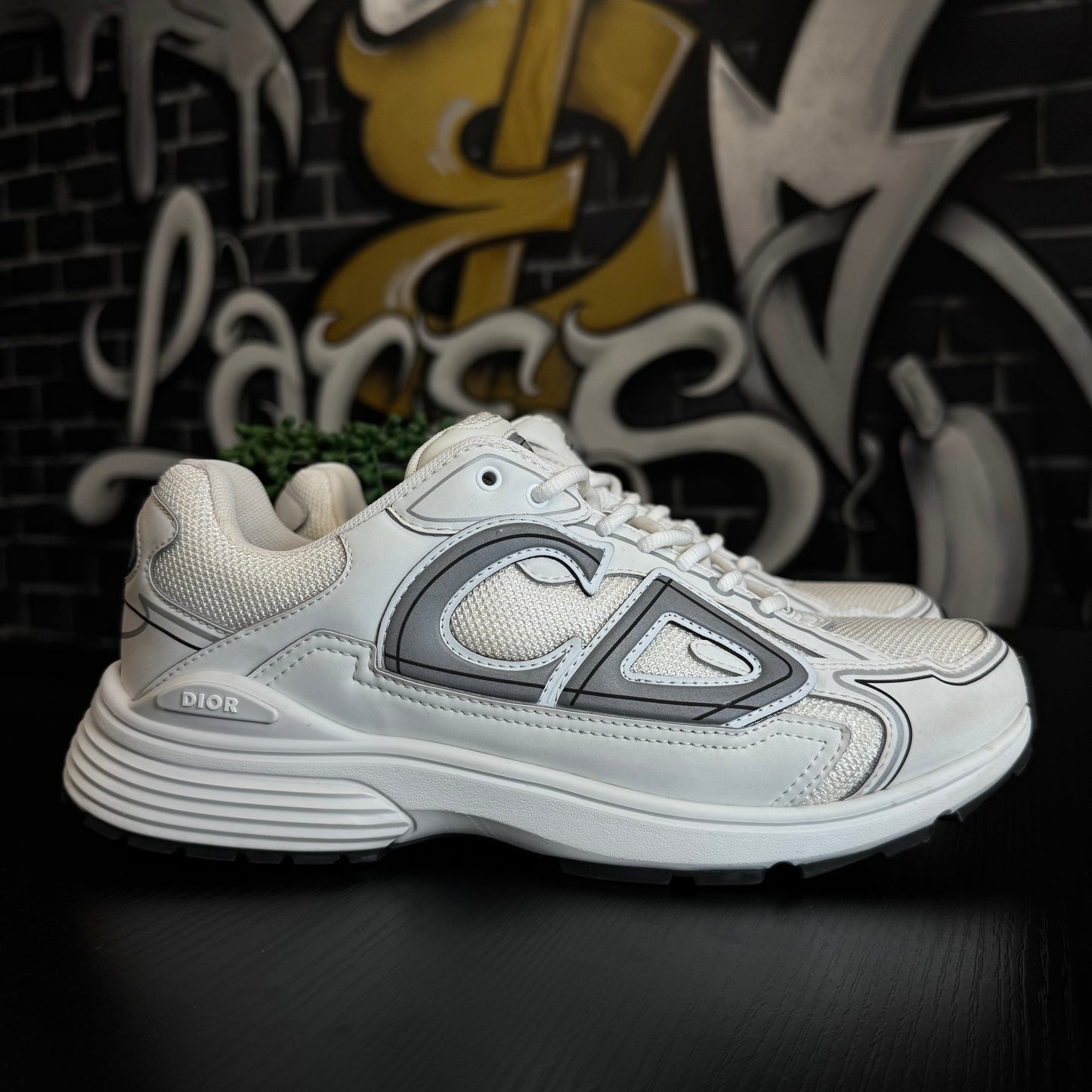 Dior B30 White/Grey