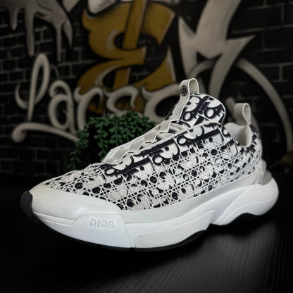 Dior B24 Oblique White Black