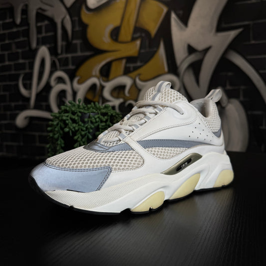 Dior B22 White/Silver