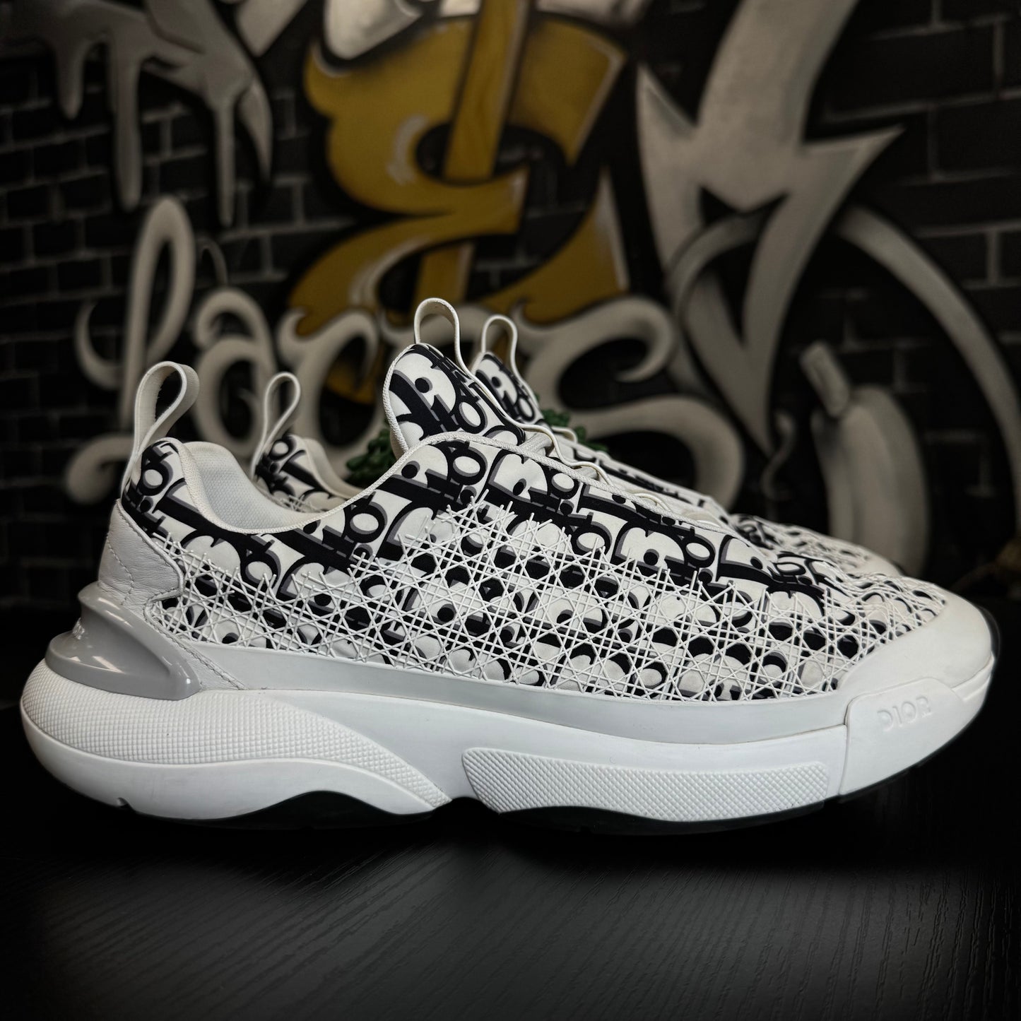 Dior B24 Oblique White Black