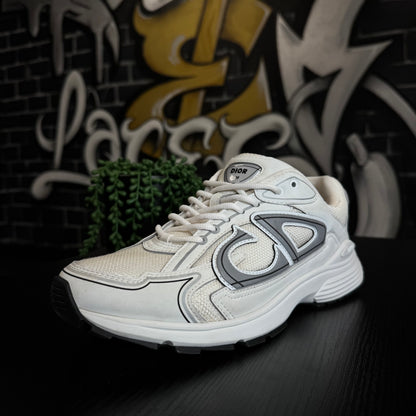 Dior B30 White/Grey