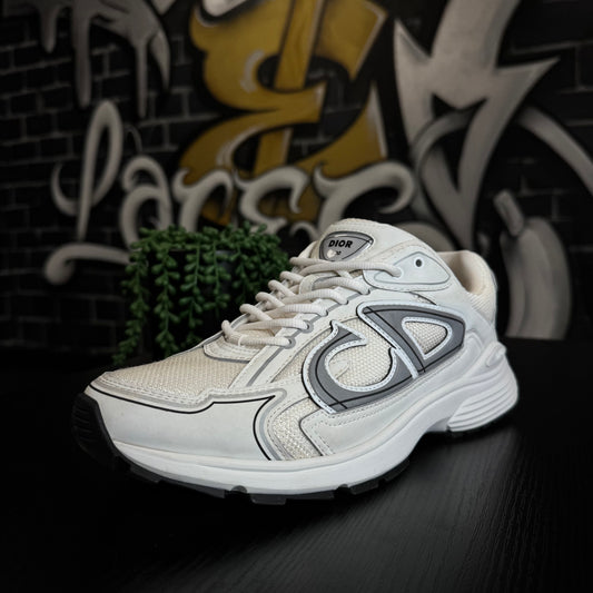 Dior B30 White/Grey