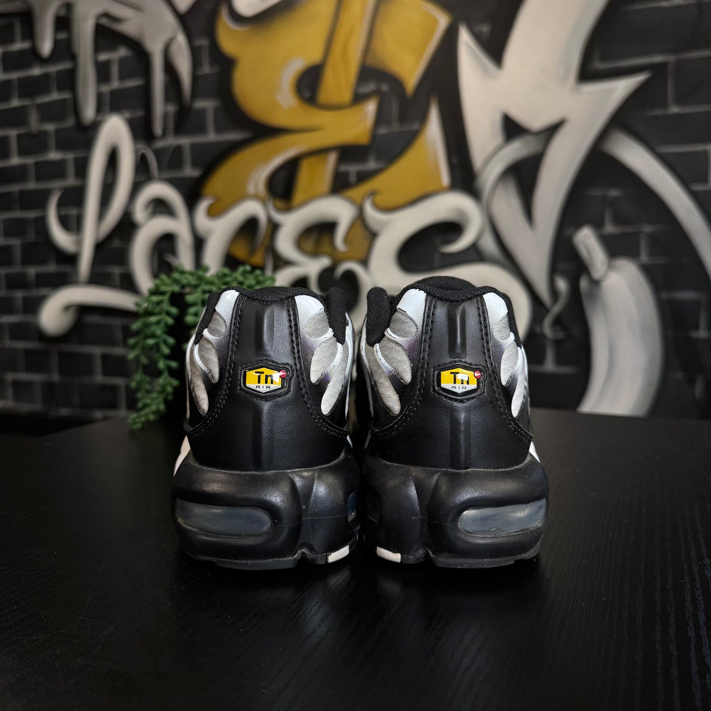 Nike Air Max Plus TN Silver