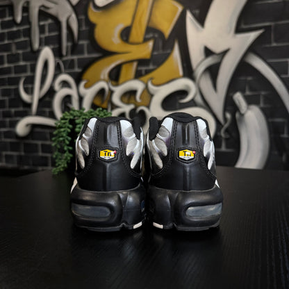 Nike Air Max Plus TN Silver
