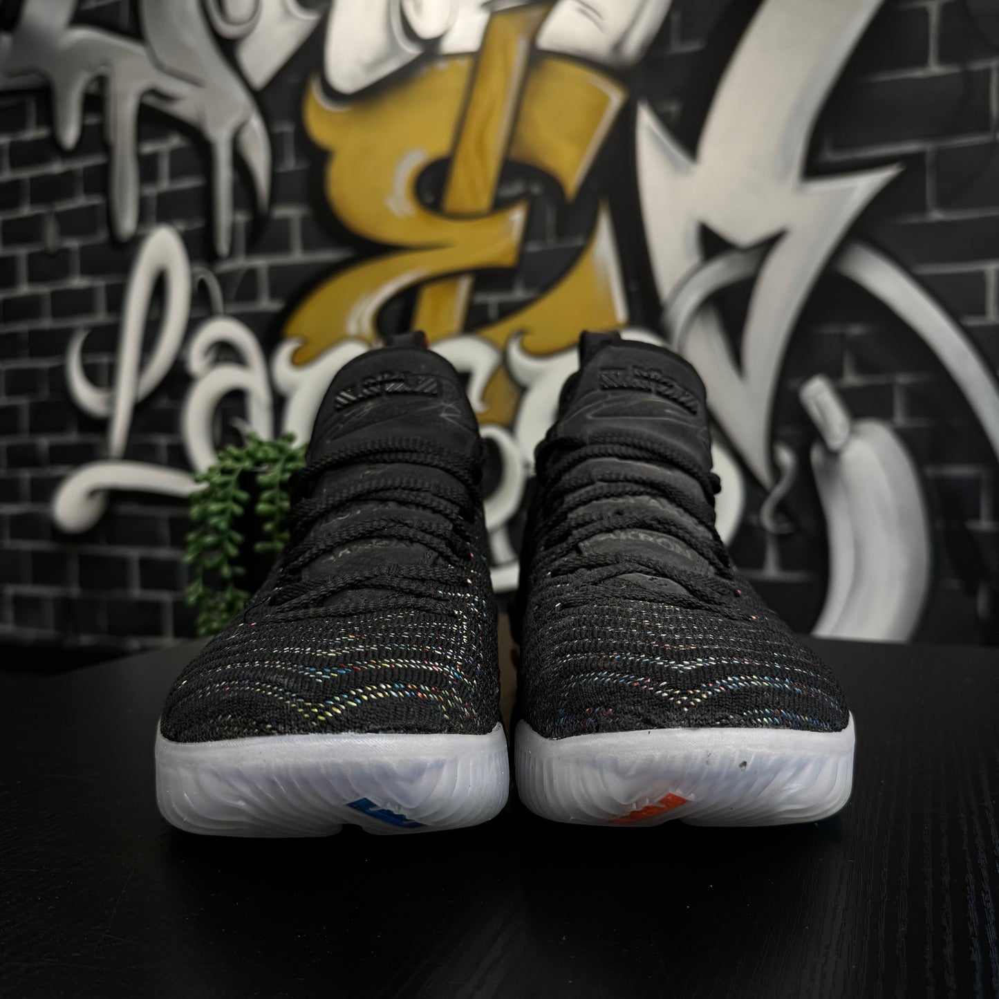 Nike Lebron 16 I Promise