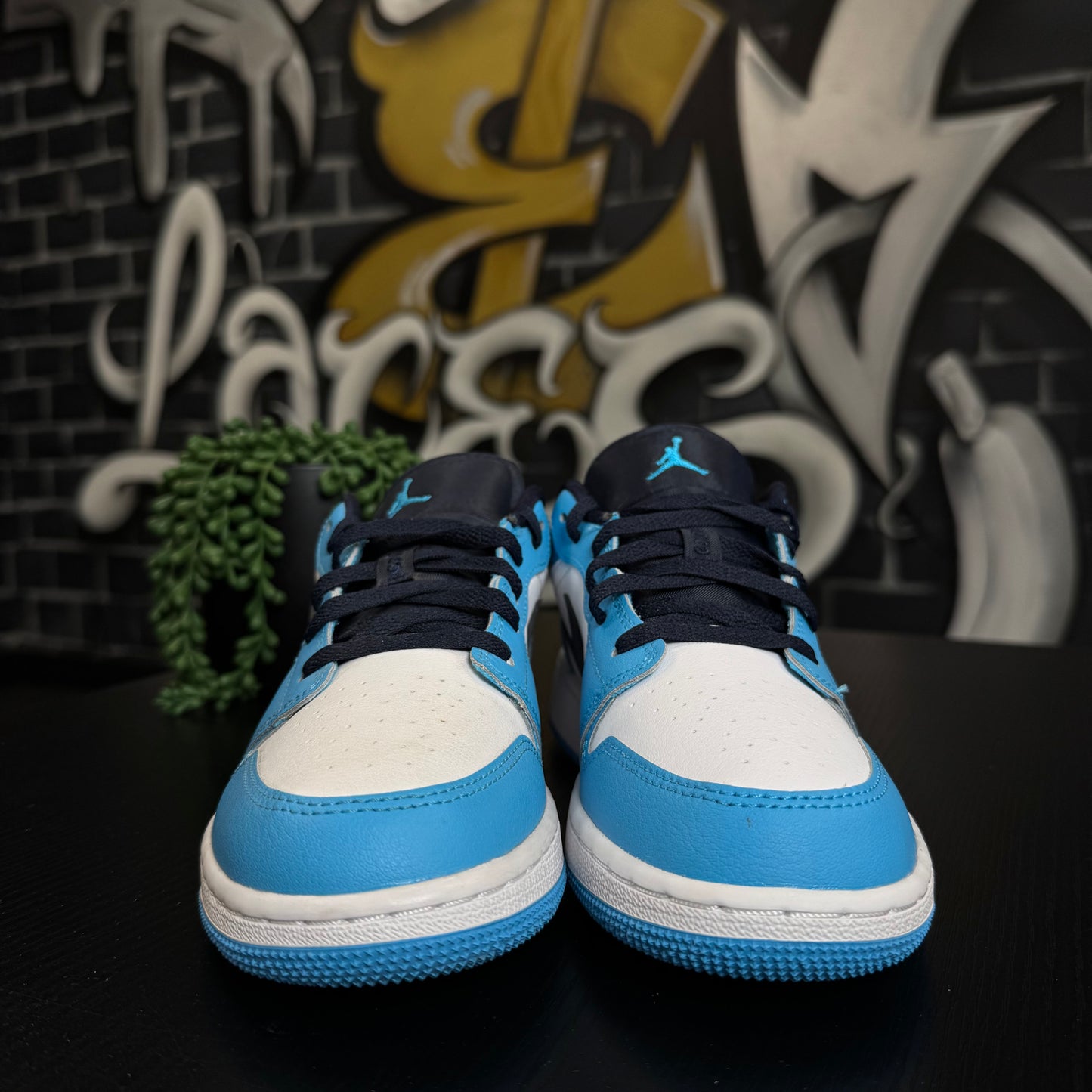 Jordan 1 Low UNC (2021)