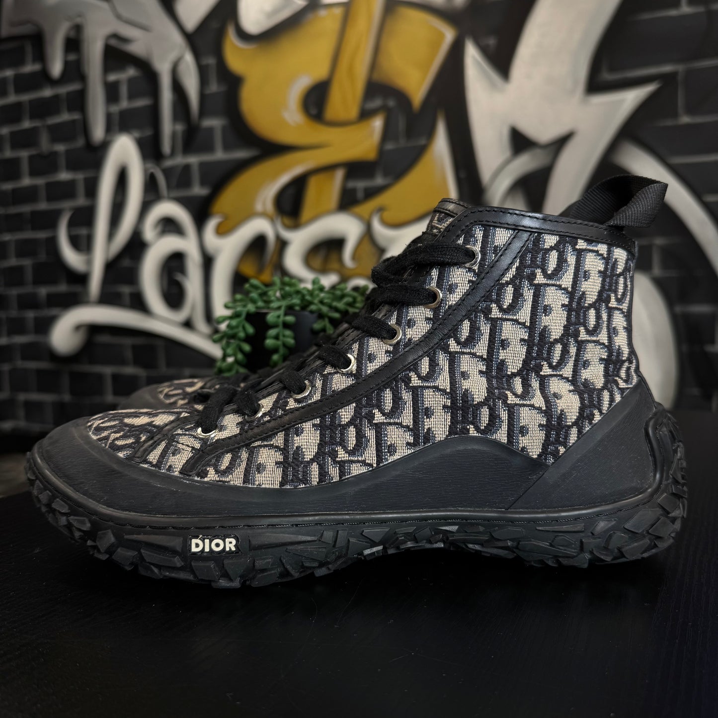 Dior B28 Oblique