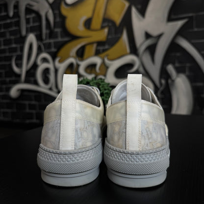 Dior B23 Low Grey