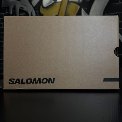 Salomon XT-6 White