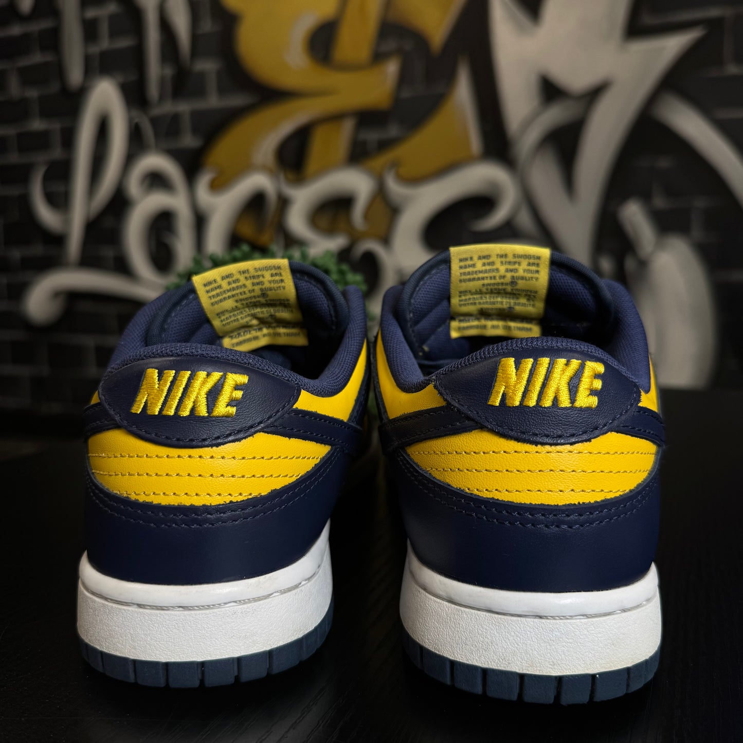 Nike Dunk Low Michigan (2021)