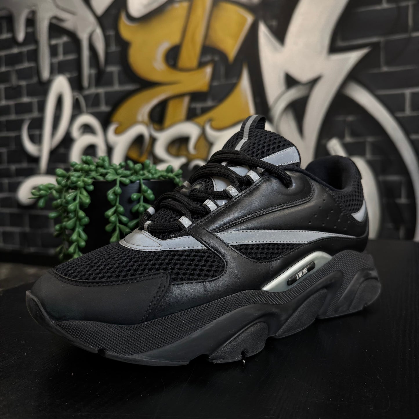 Dior B22 Black/Silver
