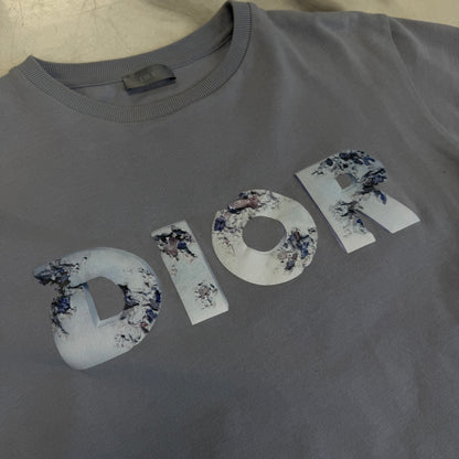 Dior X Daniel Arsham Tee Grey