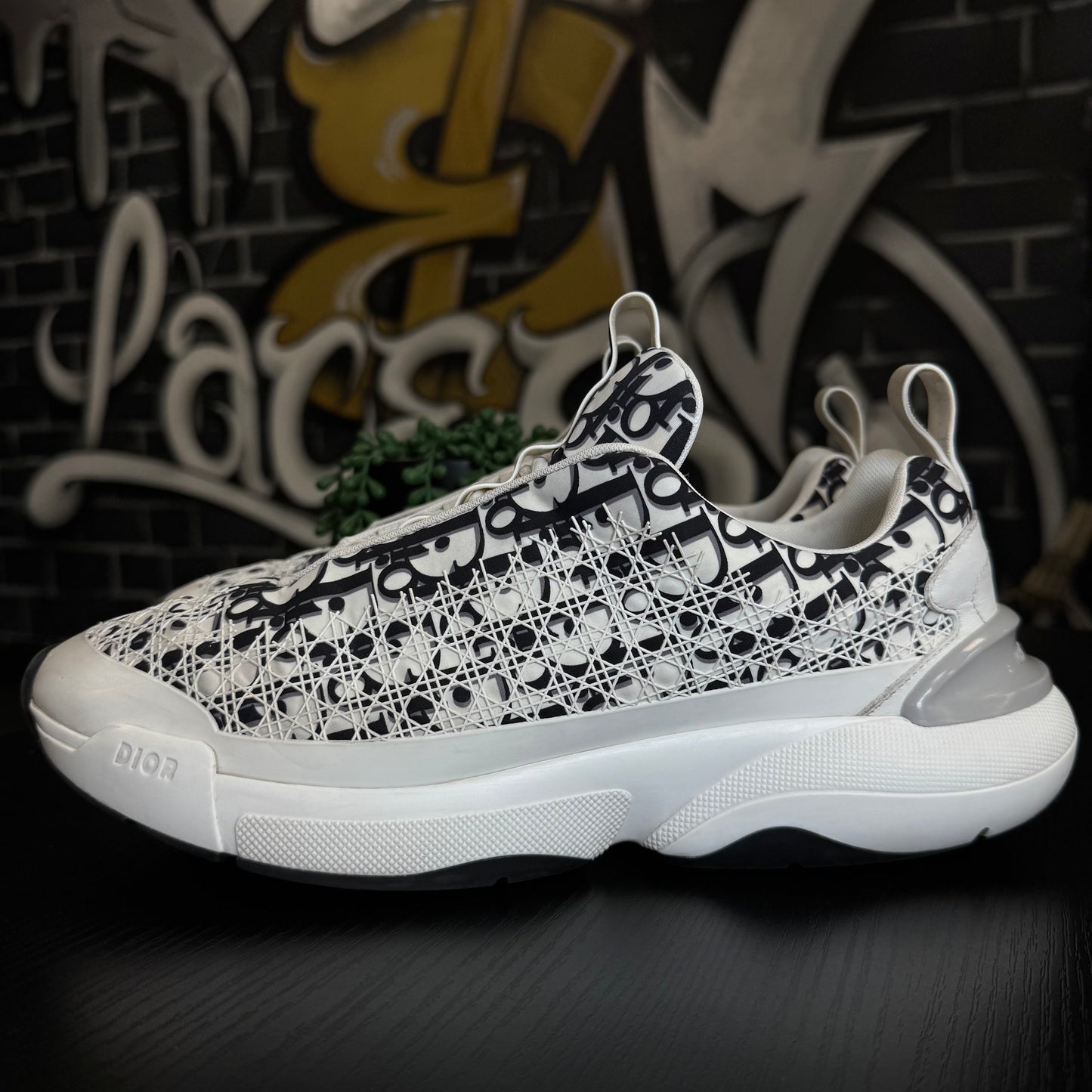 Dior B24 Oblique White Black