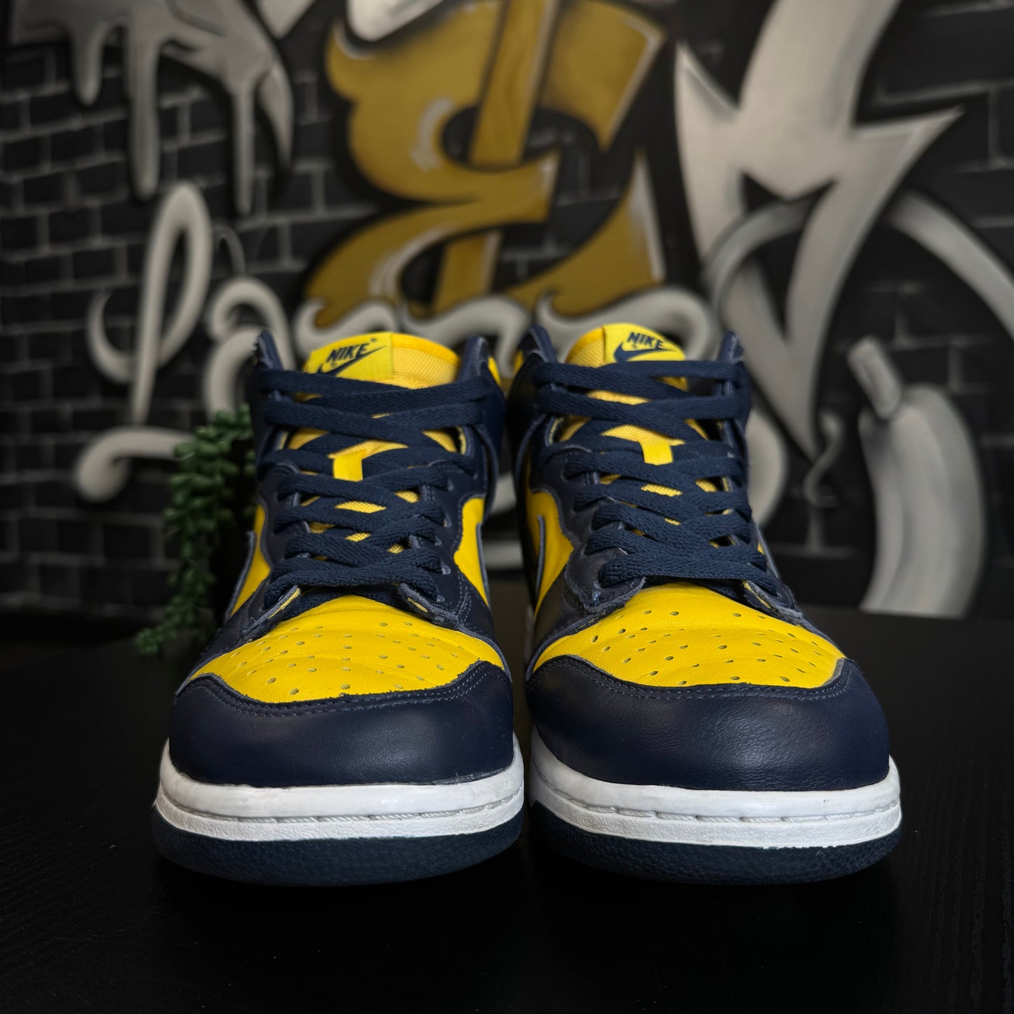 Nike Dunk High Michigan